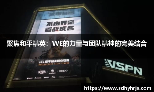 MILE米乐官方网站